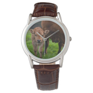Montre Cutest Baby Animals   Cow & Calf