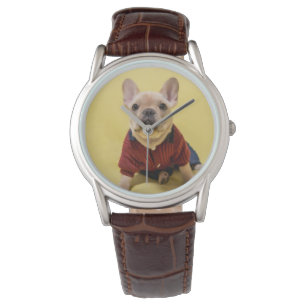 Montre Cutest Baby Animals   French Bulldog Dressed