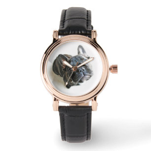 Montre Cutest Baby Animals   French Bulldog Look Up