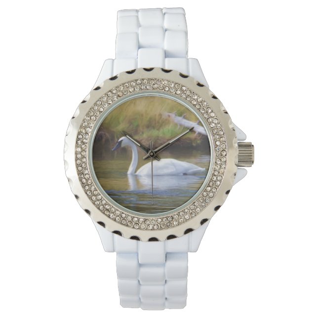 Montre Cygne trompette (devant)