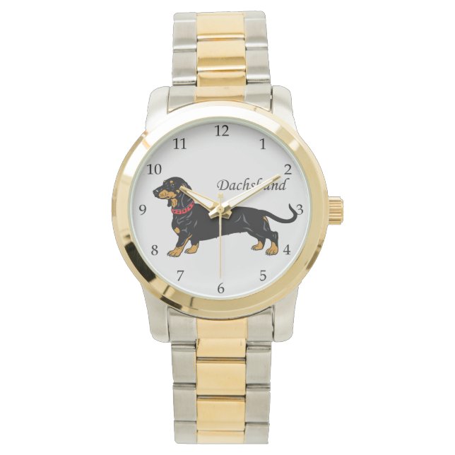 Montre Dachshund race de chiens (devant)