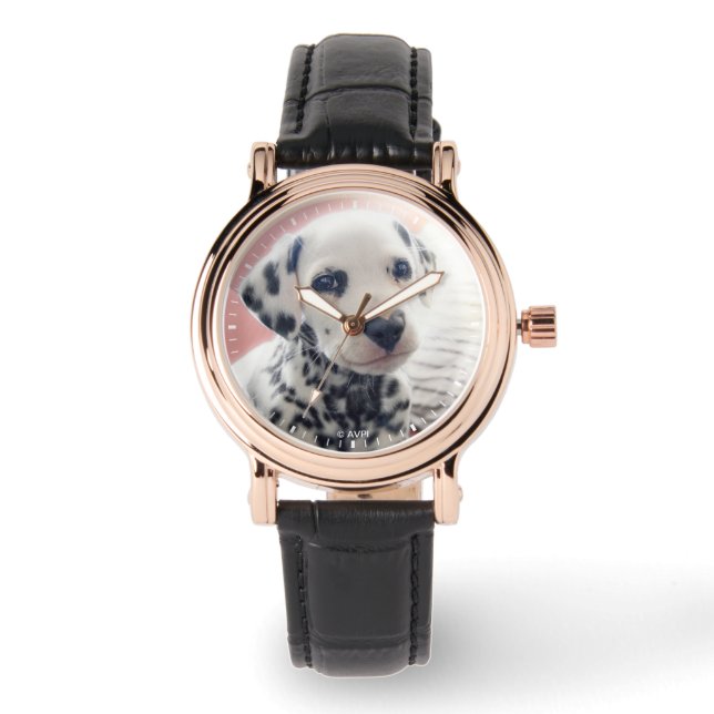 Montre Dalmatian Heart Nose (Recto)