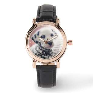 Montre Dalmatien Nez de Coeur