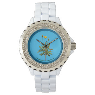 Montre Dandelion Sur Bleu
