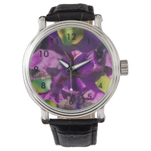 Montre Dans une Iris