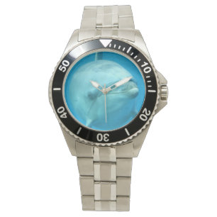 Montre Dauphin à bec