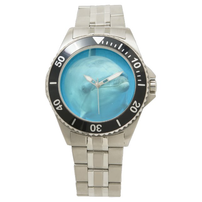 Montre Dauphin à bec (devant)
