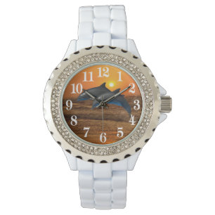 Montre Dauphin de Bottlenose au coucher du soleil