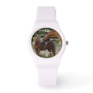 Montre de baisers d'ami de cheval