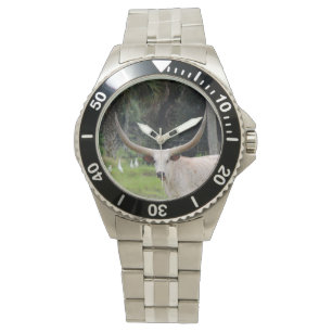 Montre de bétail Longhorn