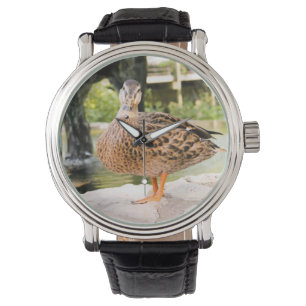 montre de canard