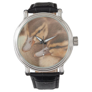 Montre de canetons de bébé