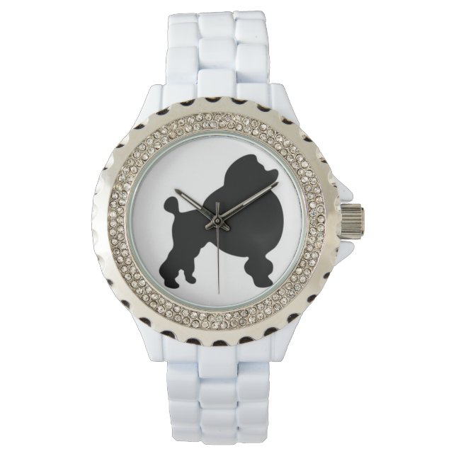 Montre de caniche (devant)