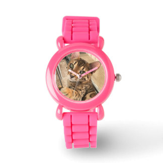 Montre de chat du Bengale