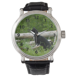 Montre de chat noir et blanc