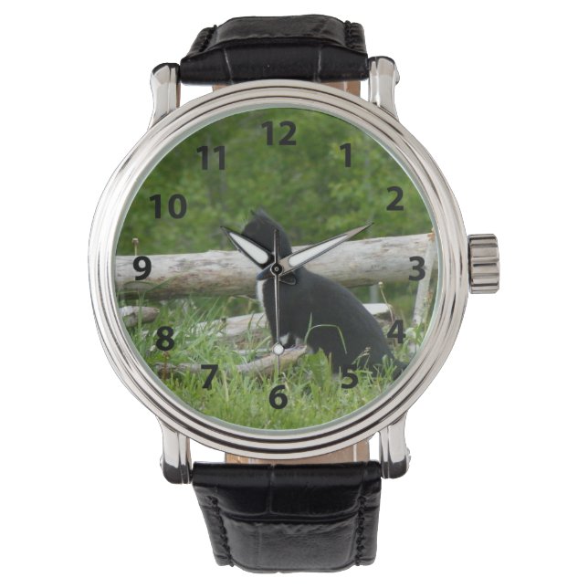 Montre de chat noir et blanc (devant)