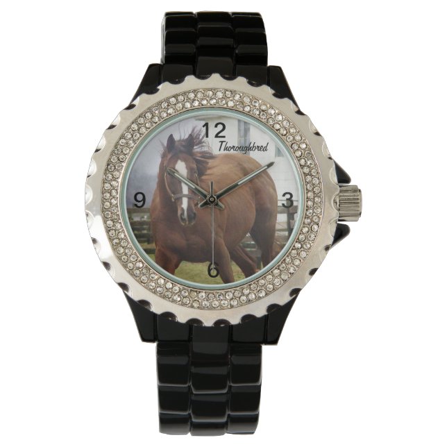 Montre de Cheval de Thoroughbred (devant)