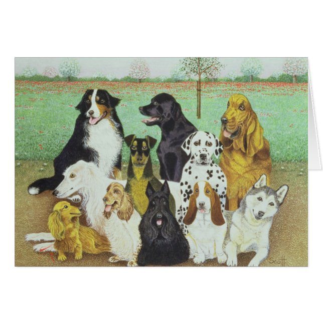 Montre de chien (Devant horizontal)