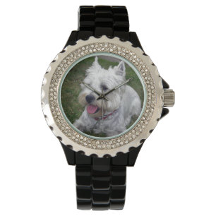 Montre de chien de Westie