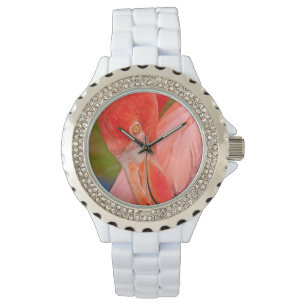 Montre de dames rose lissante élégante de flaman