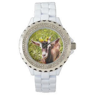 Montre de fausse pierre de chèvre de bébé