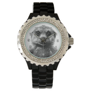 Montre de Meerkat