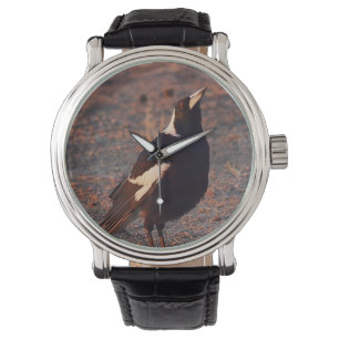 Montre de pie australienne