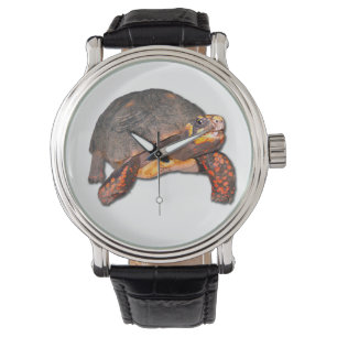 Montre de tortue