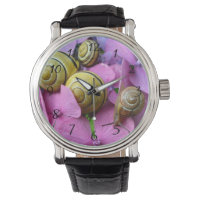Des snails de Pink Flowers