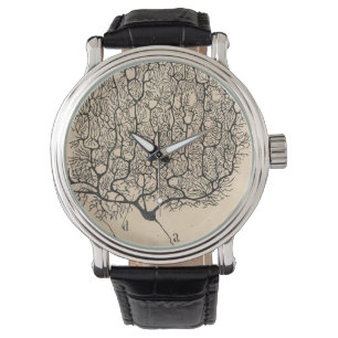 Montre Dessin De Neuron Par Santiago Ramón Y Cajal