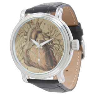 Montre Dessin d'illustrations cardiaques anatomiques Vint
