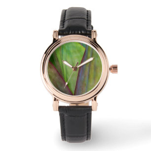 Montre Détail de la plante d'Agave