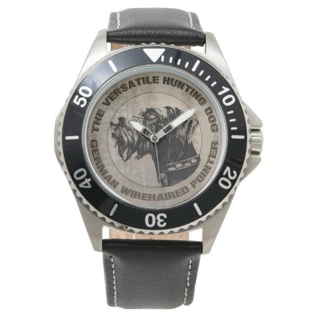 Montre Deutsch Drahthaar (devant)