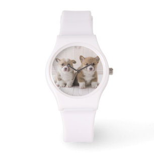 Montre Deux Corgi gallois assis