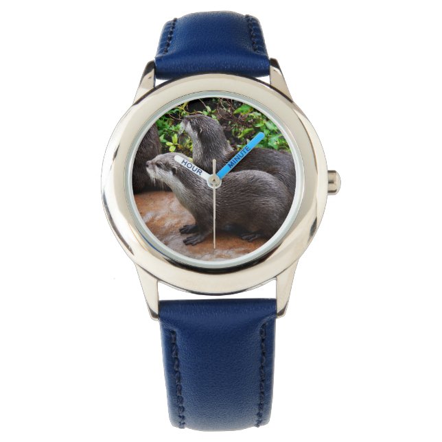Montre Deux Loutres Affamées En Attente De Poisson, - (devant)