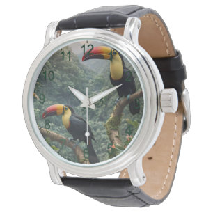 Montre Deux Oiseaux Toucans Tropicaux,