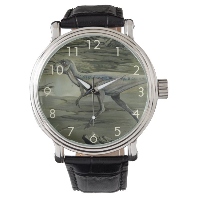 Montre Dinosaures vintages, Hypsilophodon crétacé (devant)