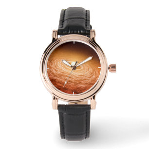 Montre Disque De Matériel Autour De Star Fu Orionis.