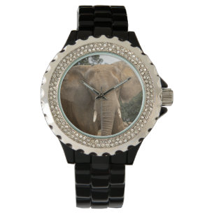 Montre Dumbo
