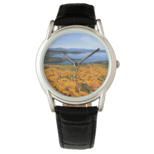 Montre Eau   Lac California Avec Des Pépites D'Or