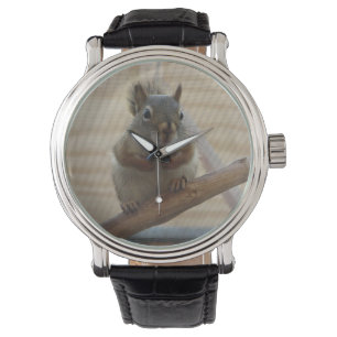 Montre Écureuil mûr à la branche