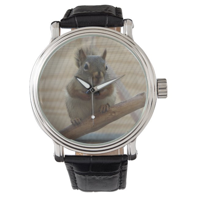Montre Écureuil mûr à la branche (devant)