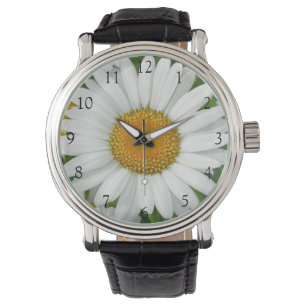 Montre Elégante marguerite fleurs florales blanches verdu