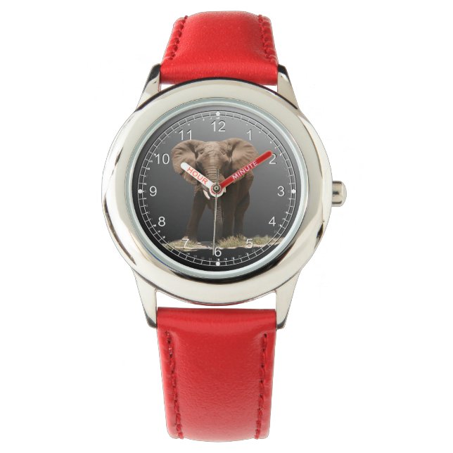 MONTRE ÉLÉPHANT (devant)