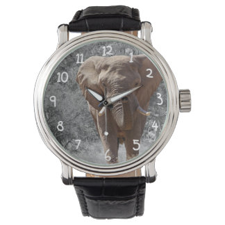 Montre Eléphant africain