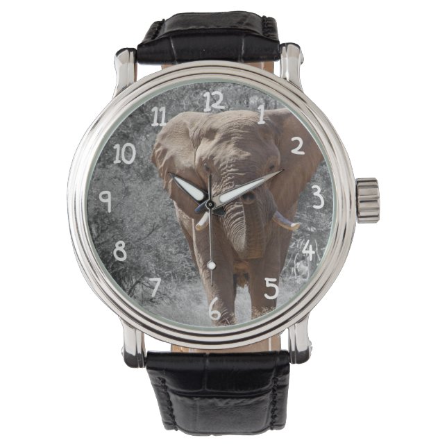 Montre Eléphant africain (devant)