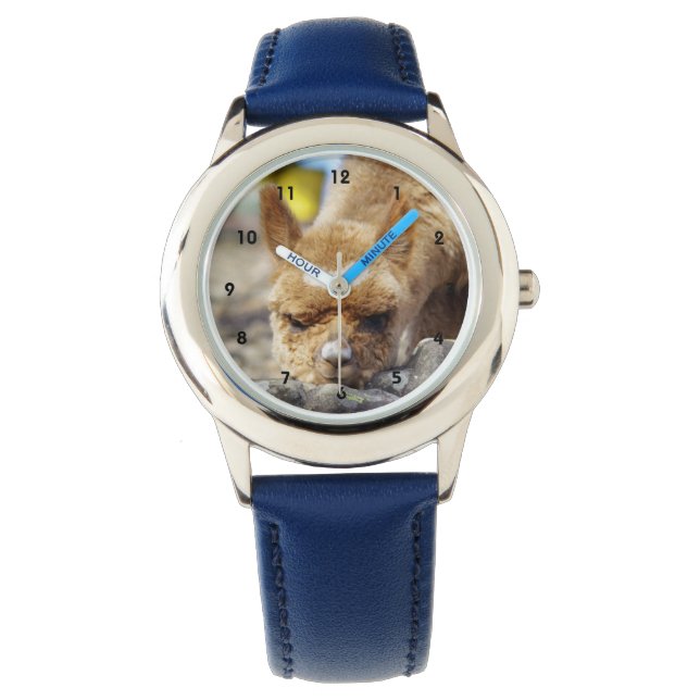 Montre en acier inoxydable Alpaca (devant)