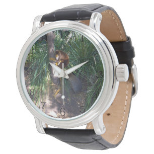 Montre "En haut des arbres : Un kangourou arboricole aust