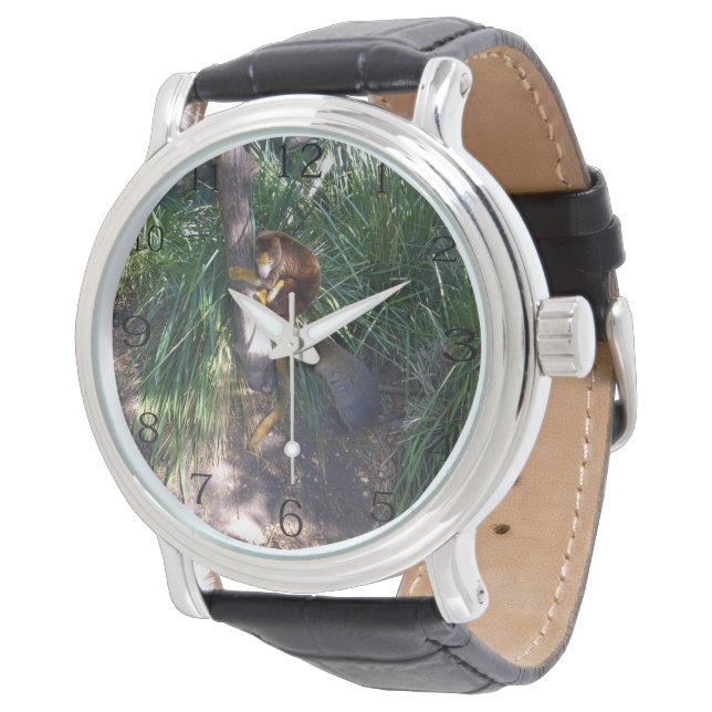Montre "En haut des arbres : Un kangourou arboricole aust (Incliné)