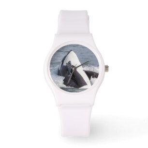 Montre Épaulard faisant une cabriole